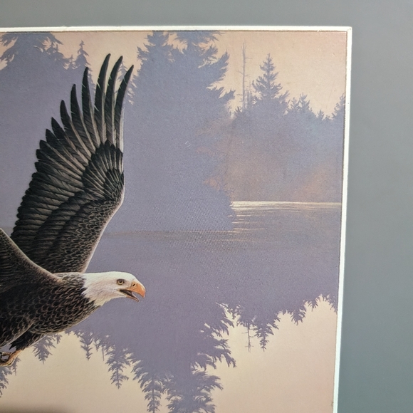 Jan Handcrafts Victoria BC Eagle wall plaque - Picture 8 of 10